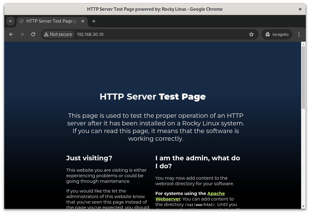 "Nginx test page"